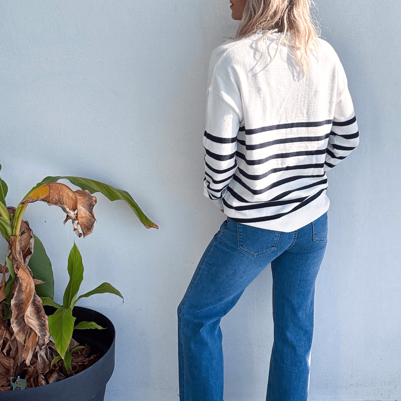 Pull Marinière Ecru rayé marine dentelle